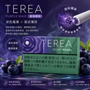 IQOS TEREA 單包 整條 全口味:圖片 55